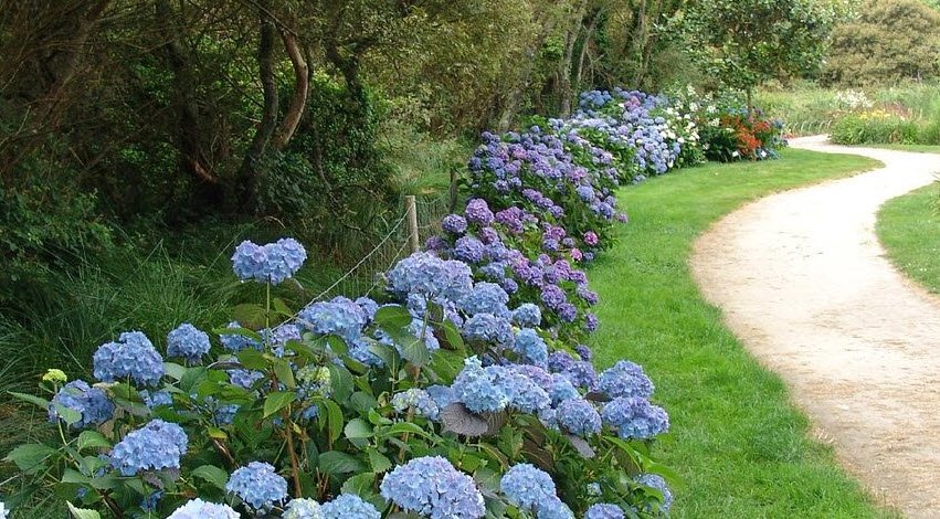 Cornouaille Botanical Garden, Combrit, France, France
